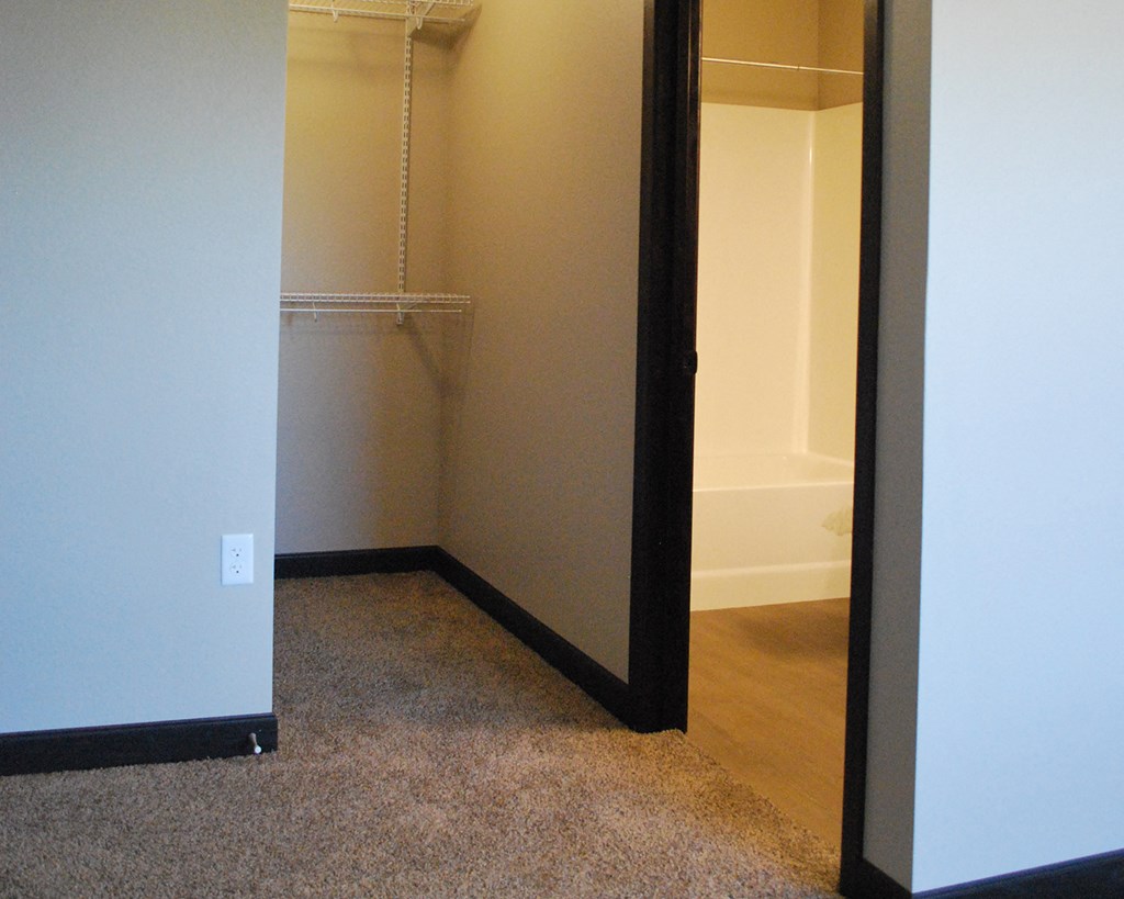 a room with a closet and a bath tub in it