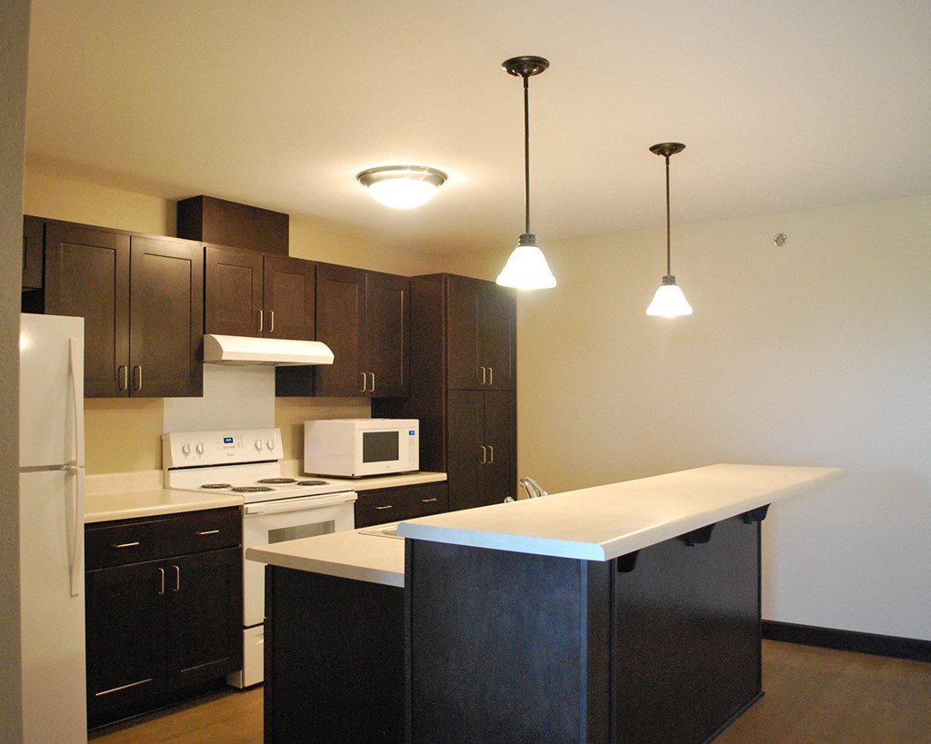 a kitchen with black cabinets and white appliances and lights