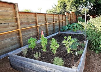 Community Garden with Rain Catchment System