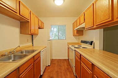 1802 West Cholla Steet 1-2 Beds Apartment for Rent - Photo Gallery 2