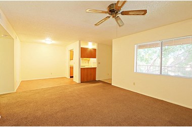 1802 West Cholla Steet 1-2 Beds Apartment for Rent - Photo Gallery 1