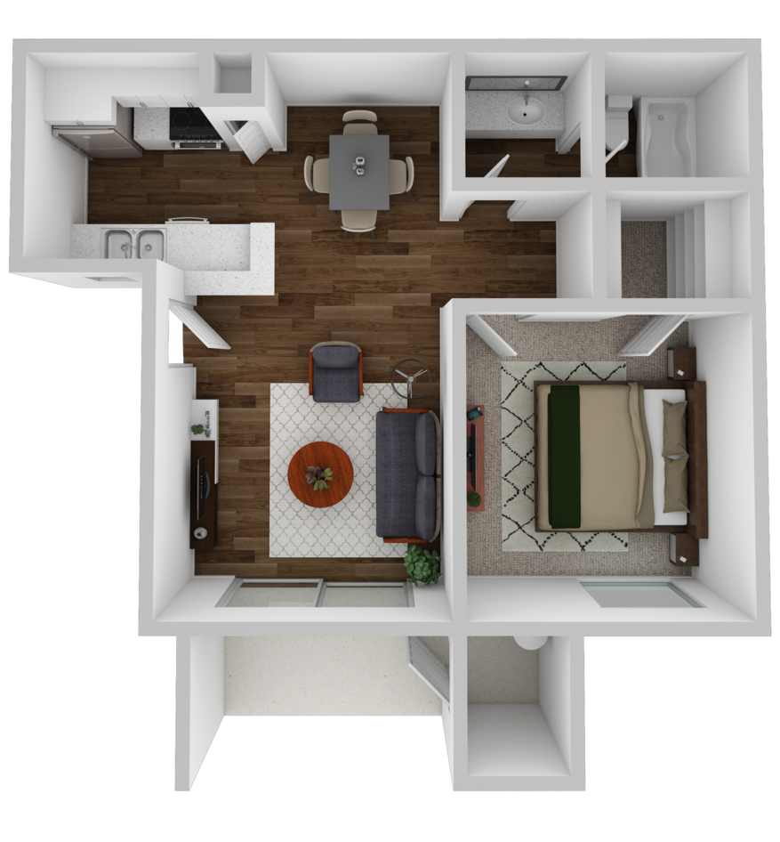 Large 1 Bedroom