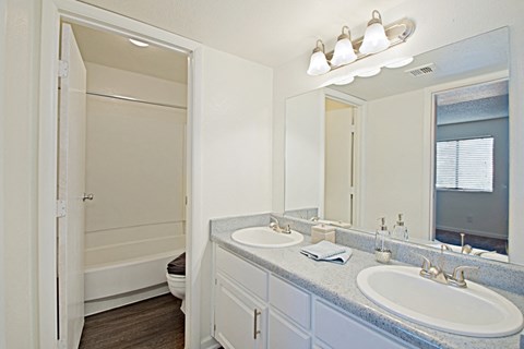 a bathroom with two sinks and a large mirror