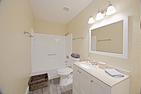 a bathroom with a sink and a toilet and a shower