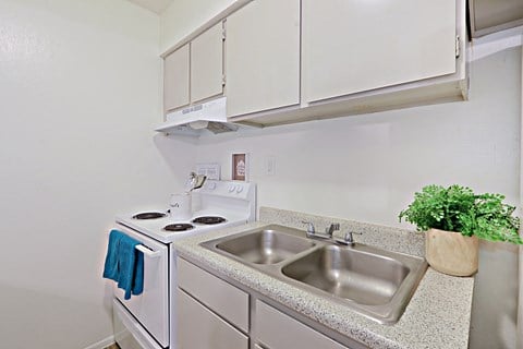 a kitchen with a sink and a stove and cabinets