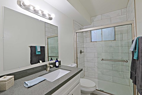 a bathroom with a sink and a shower