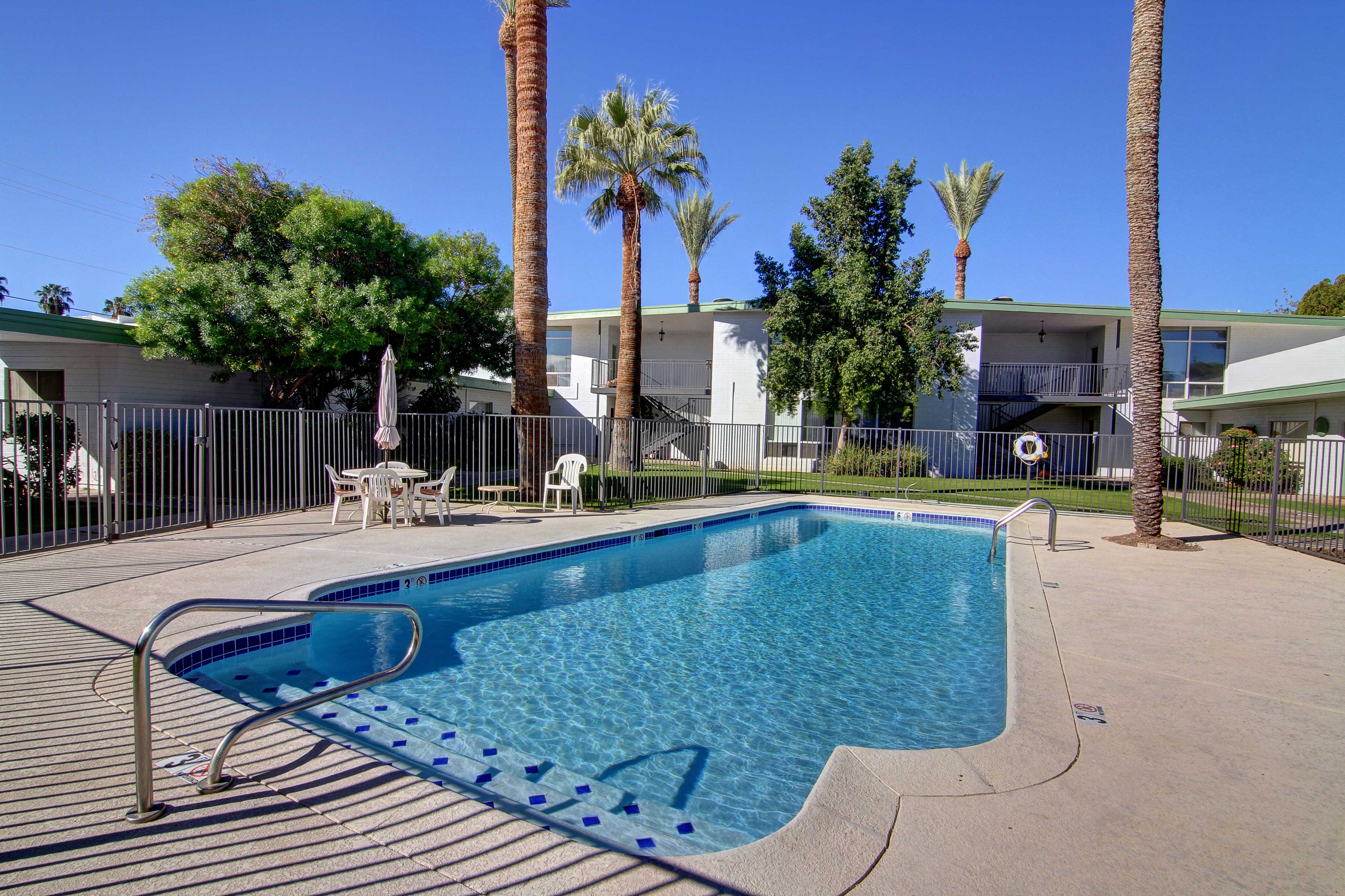 a swimming pool with palm trees and a fence around it