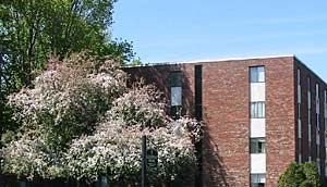 292 Market Street 1-2 Beds Apartment for Rent