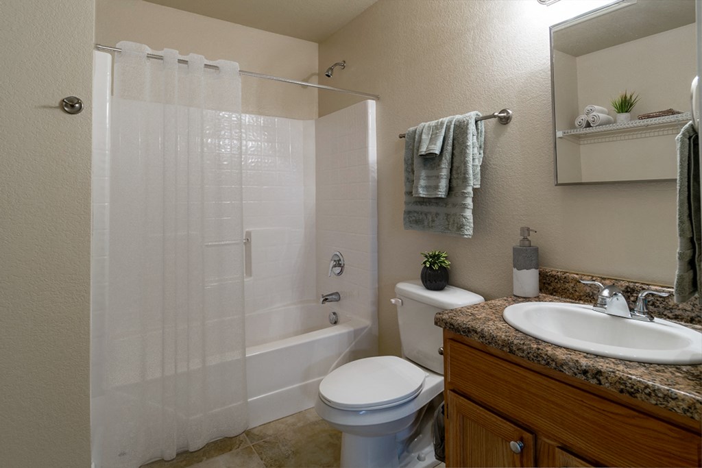 a bathroom with a shower and a sink and a toilet