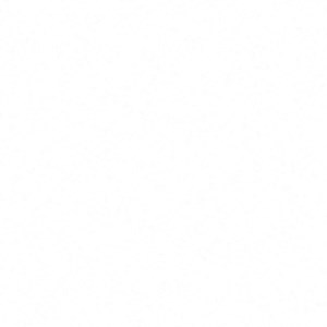 B3