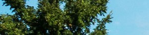 Apartments For Rent In Hudson Ohio Redwood Hudson By Redwood