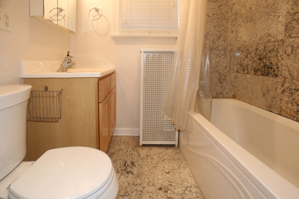 a bathroom with a toilet and a tub and a sink