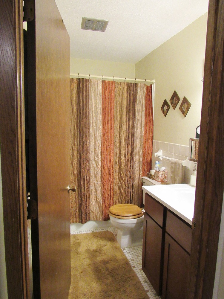 bathroom apartment Forest lake MN