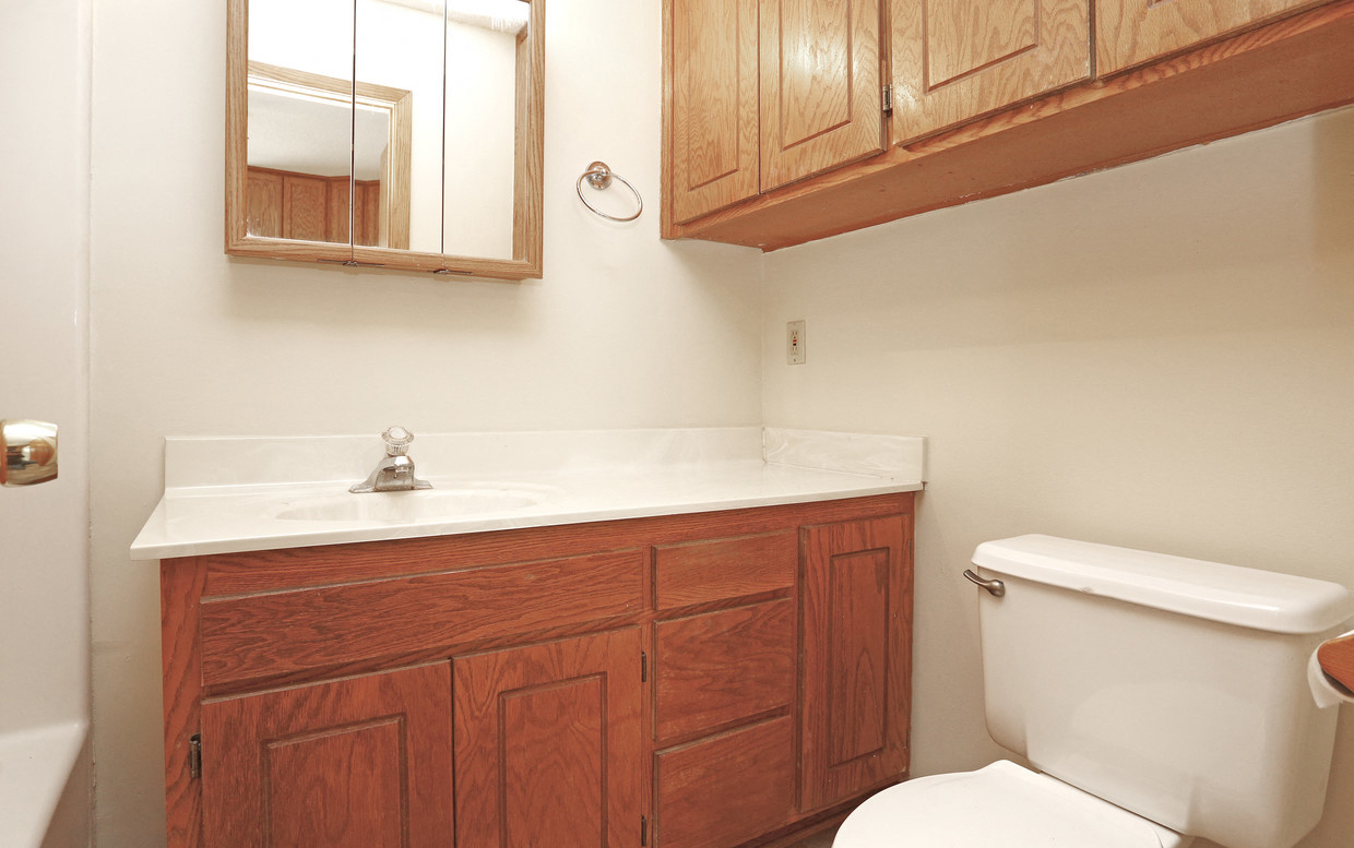 The Lofts of Sandcreek Bathroom Cupboard