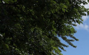 North Shore Apartments 1167 North Shore Drive Forest Lake Mn Rentcafe