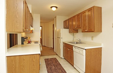 11610 Tulip Street NW Studio-2 Beds Apartment for Rent Photo Gallery 1