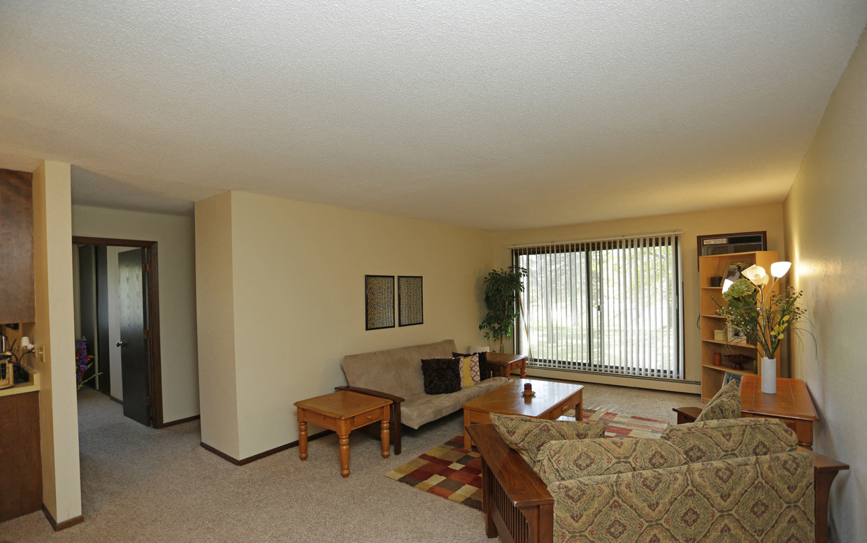 The Village Apartments Forest Lake large windows living room