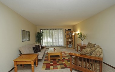 The Village Apartments Forest Lake MN Living room