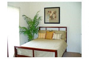 Bedroom Bedroom