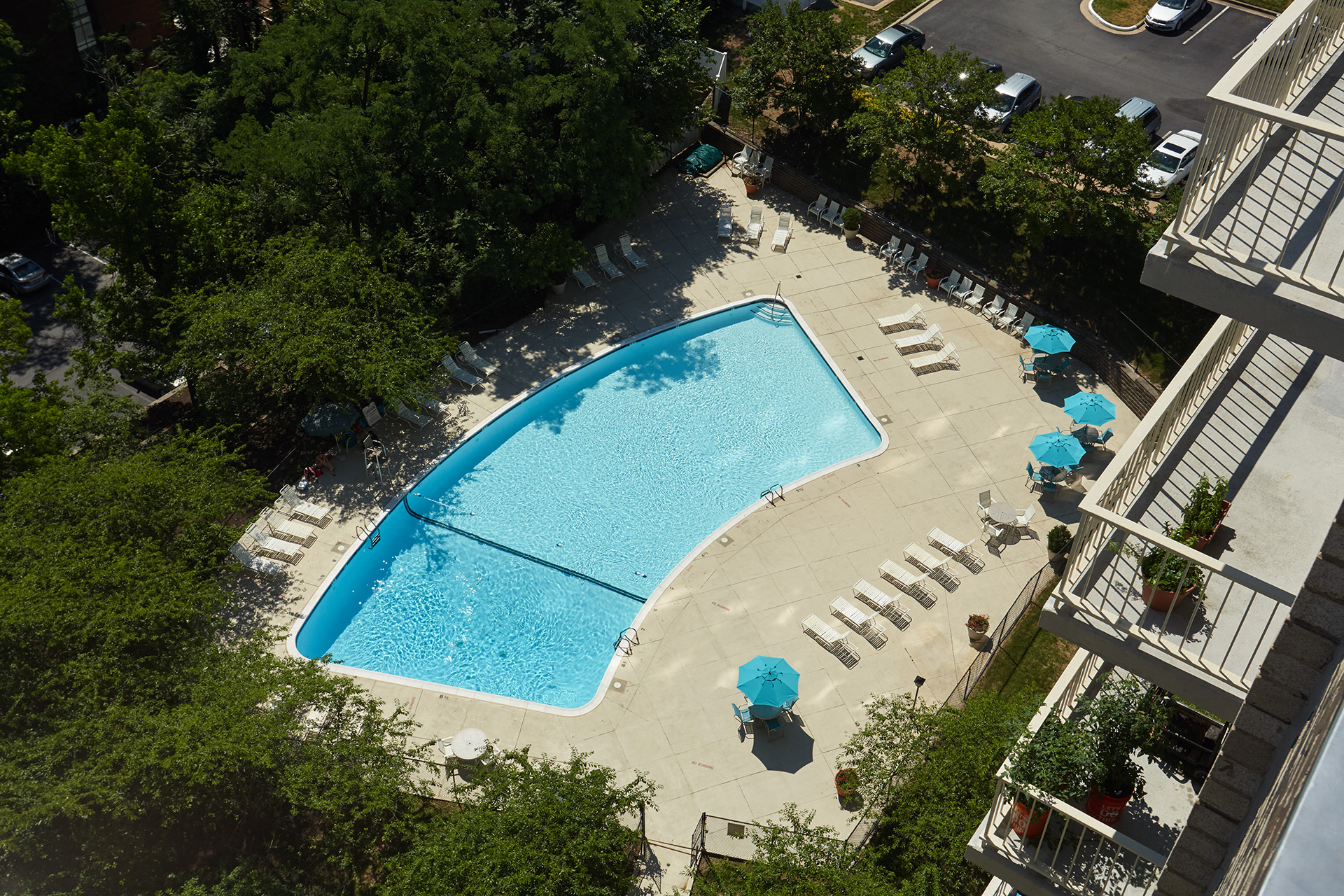 Aerial View of Swimming Pool