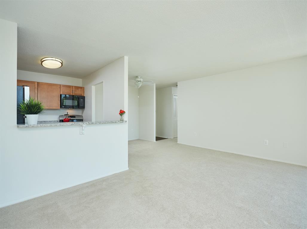 Bar-top Dining Room and Living Room
