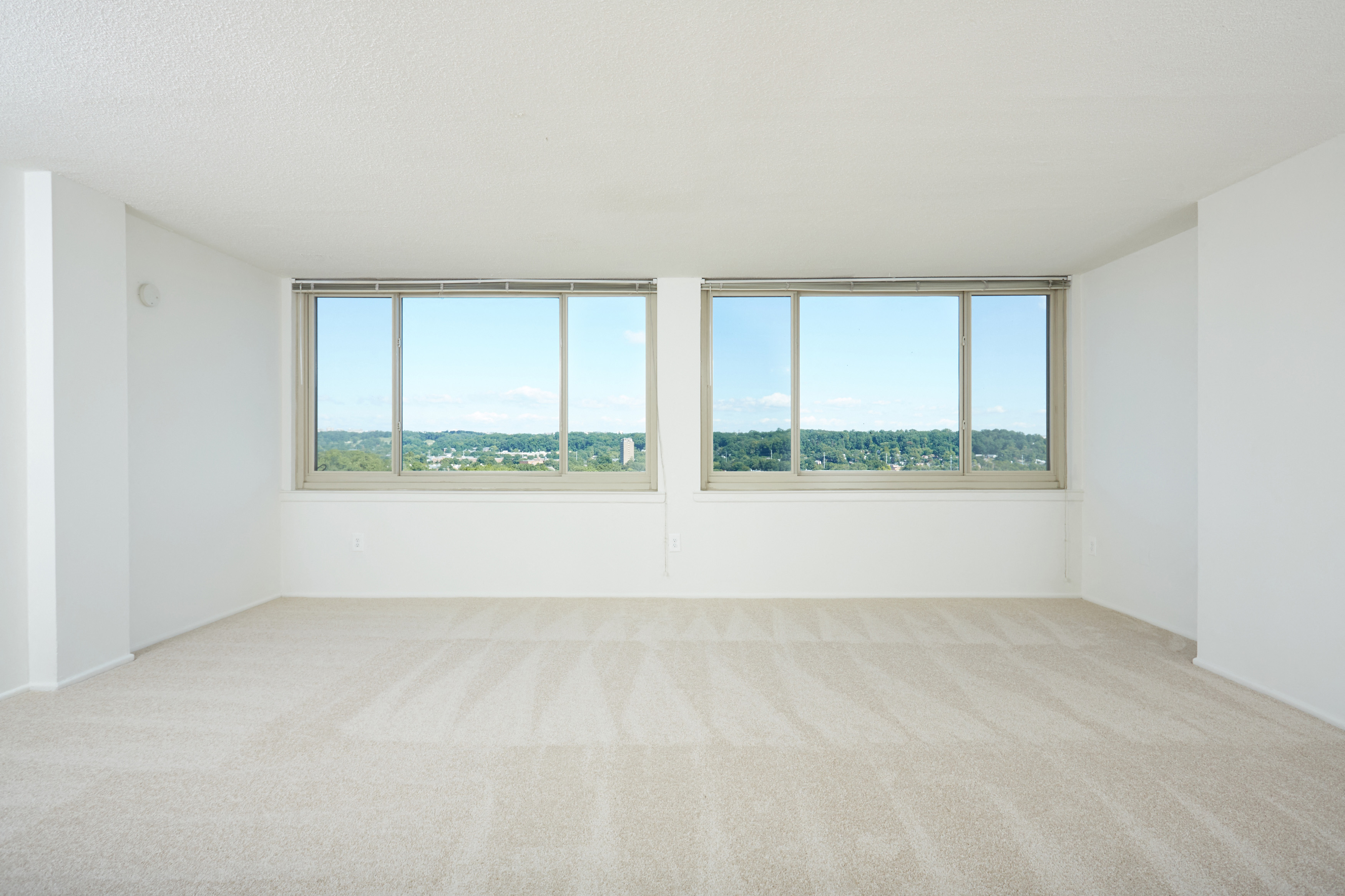 Spacious Living Room