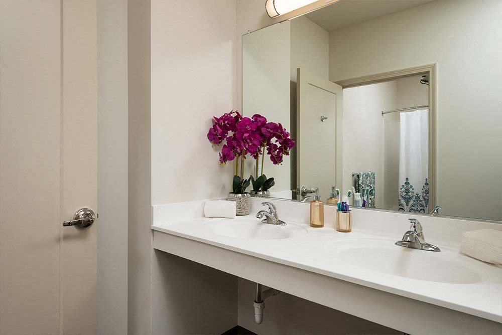 Troy, NY Apartments College Suites at Hudson Valley Photos