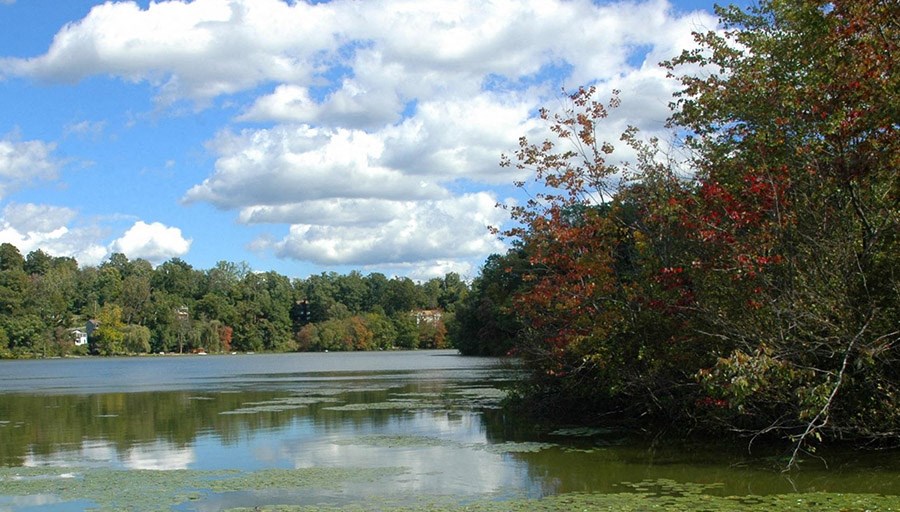 The Landing On Mohegan Lake Apartments, 209 New Chalet Dr, Mohegan Lake
