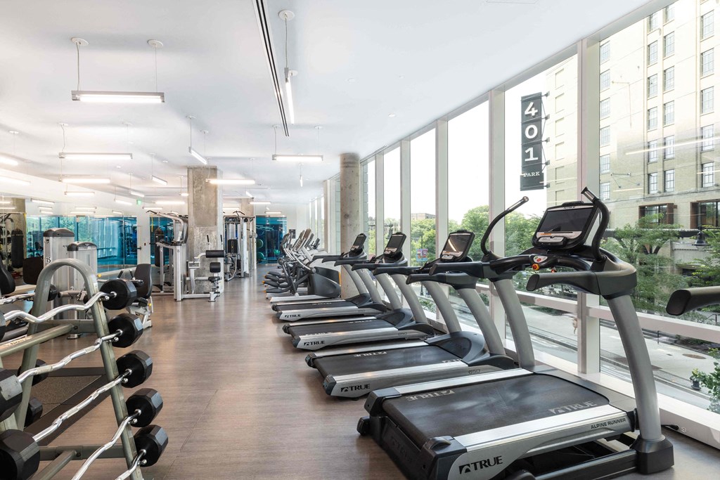a row of cardio equipment in a gym with large windows