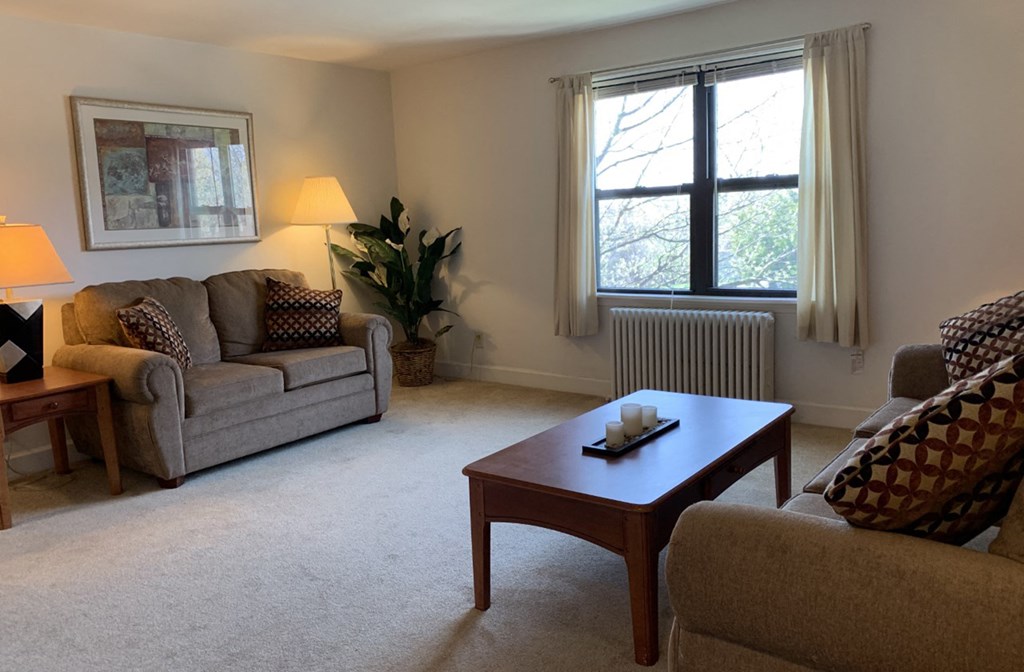 a living room with couches and a coffee table