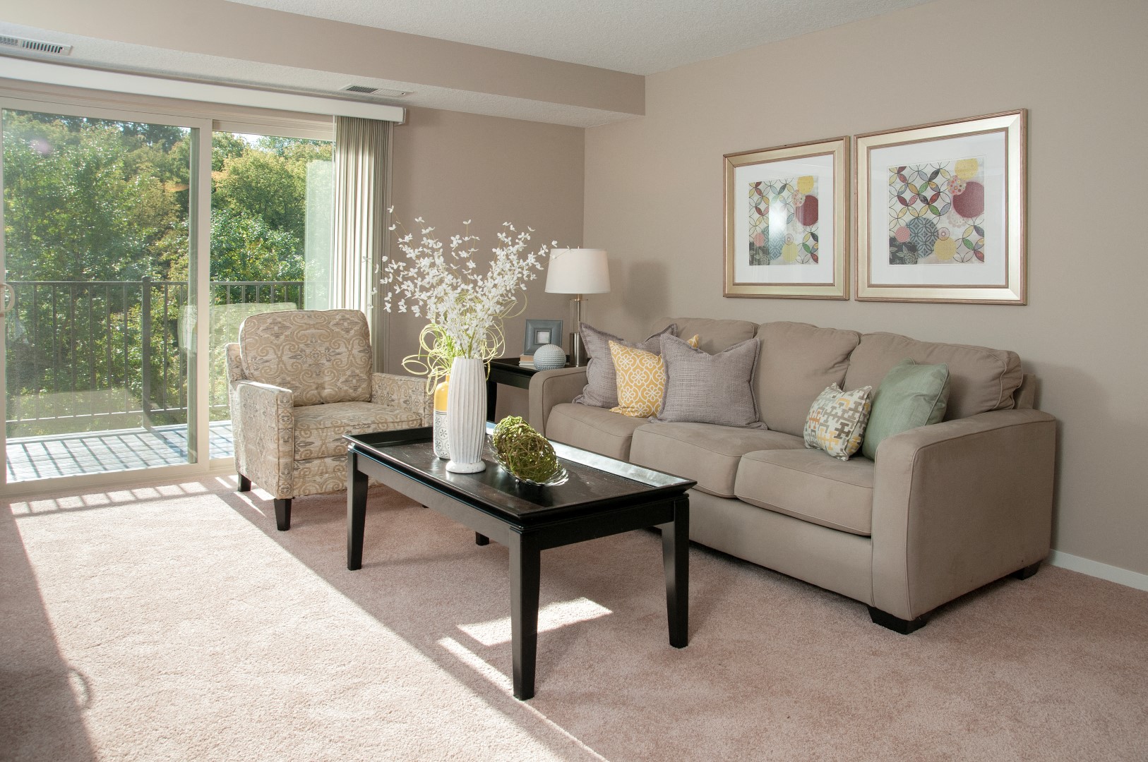 Pike Lake Marsh Apartments in Prior Lake, MN Model Living Room Affordable