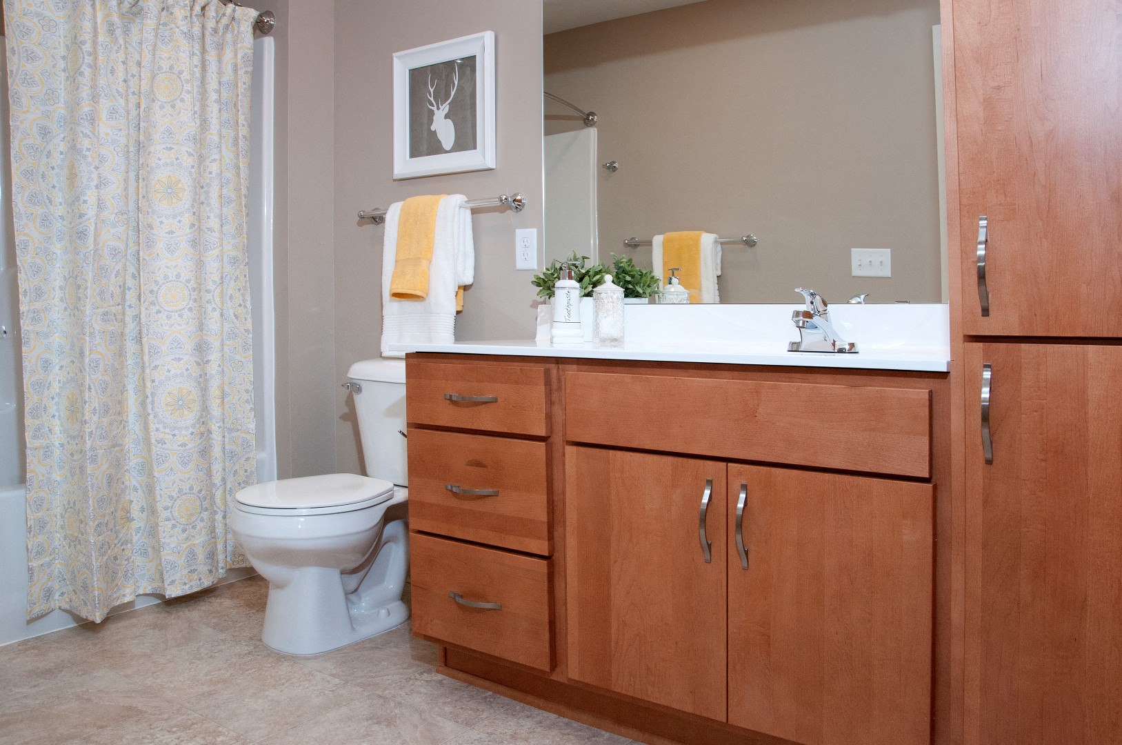 Pike Lake Marsh Apartments in Prior Lake, MN Model Bathroom Affordable