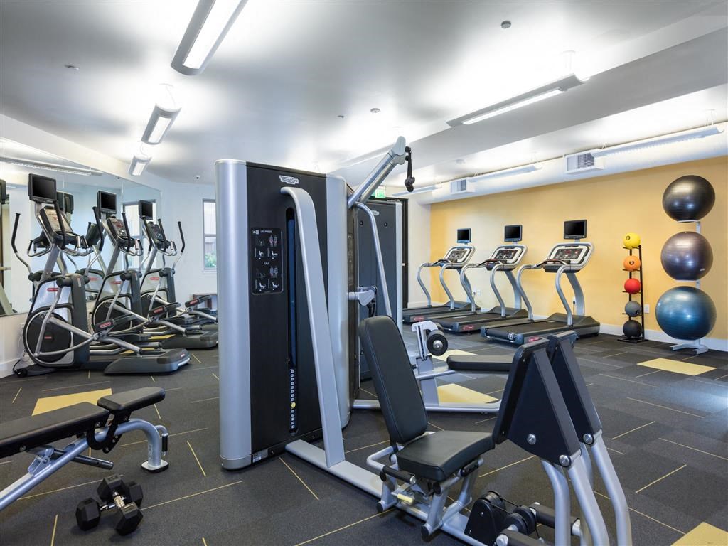 a gym with cardio equipment and weights in a treatment room