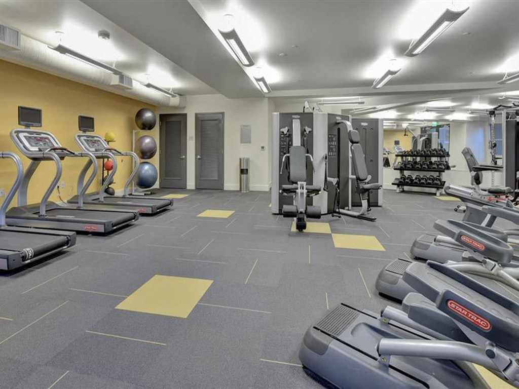 the gym is equipped with cardio equipment and weights