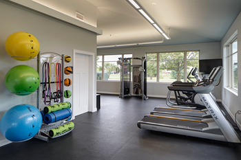 Fitness Center with Cardio Equipment at Eagle Creek Apartments, IL 60559