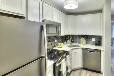 1130 S Williams Street 1 Bed Apartment for Rent - Photo Gallery 1