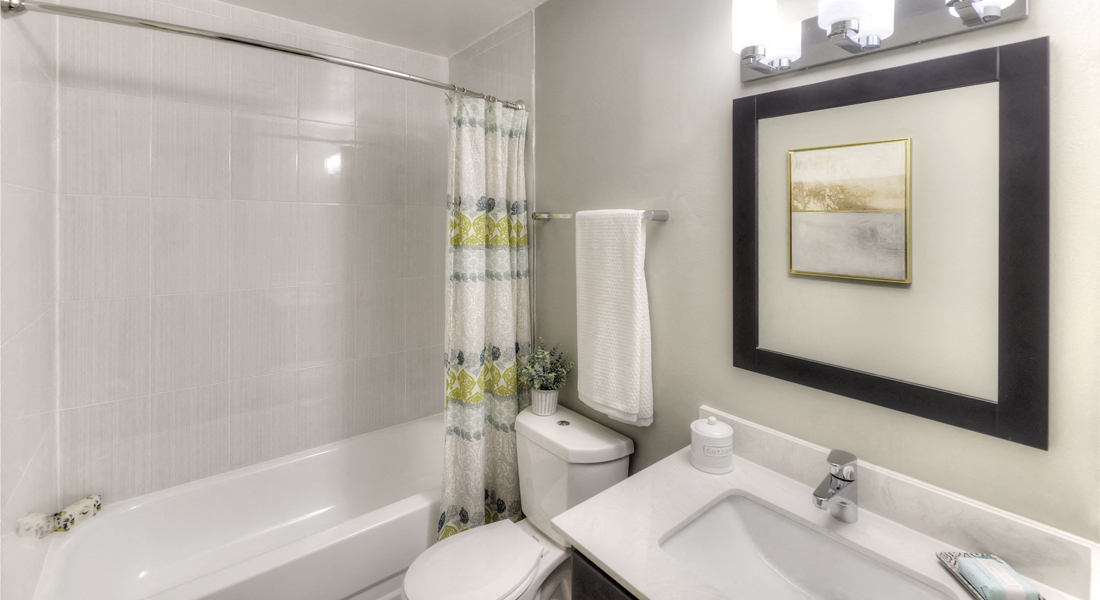 Modern Bathroom Fittings, at Eagle Creek Apartments, Westmont, IL