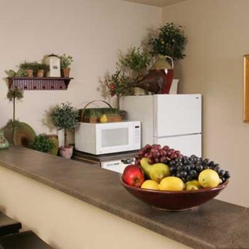 5491 Jackie Way 2 Beds Apartment, Affordable for Rent - Photo Gallery 12