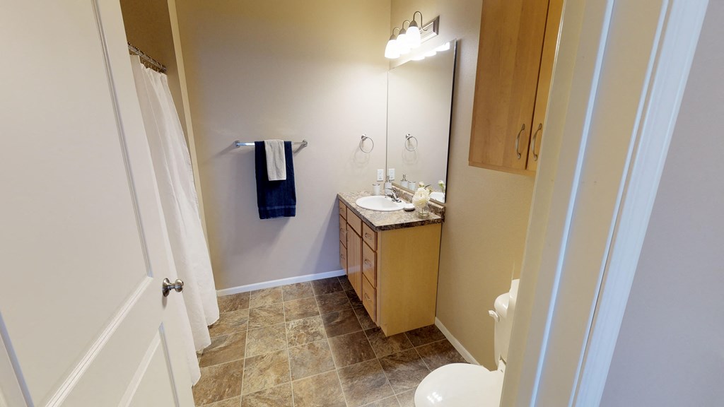 bathroom, vanity, shower