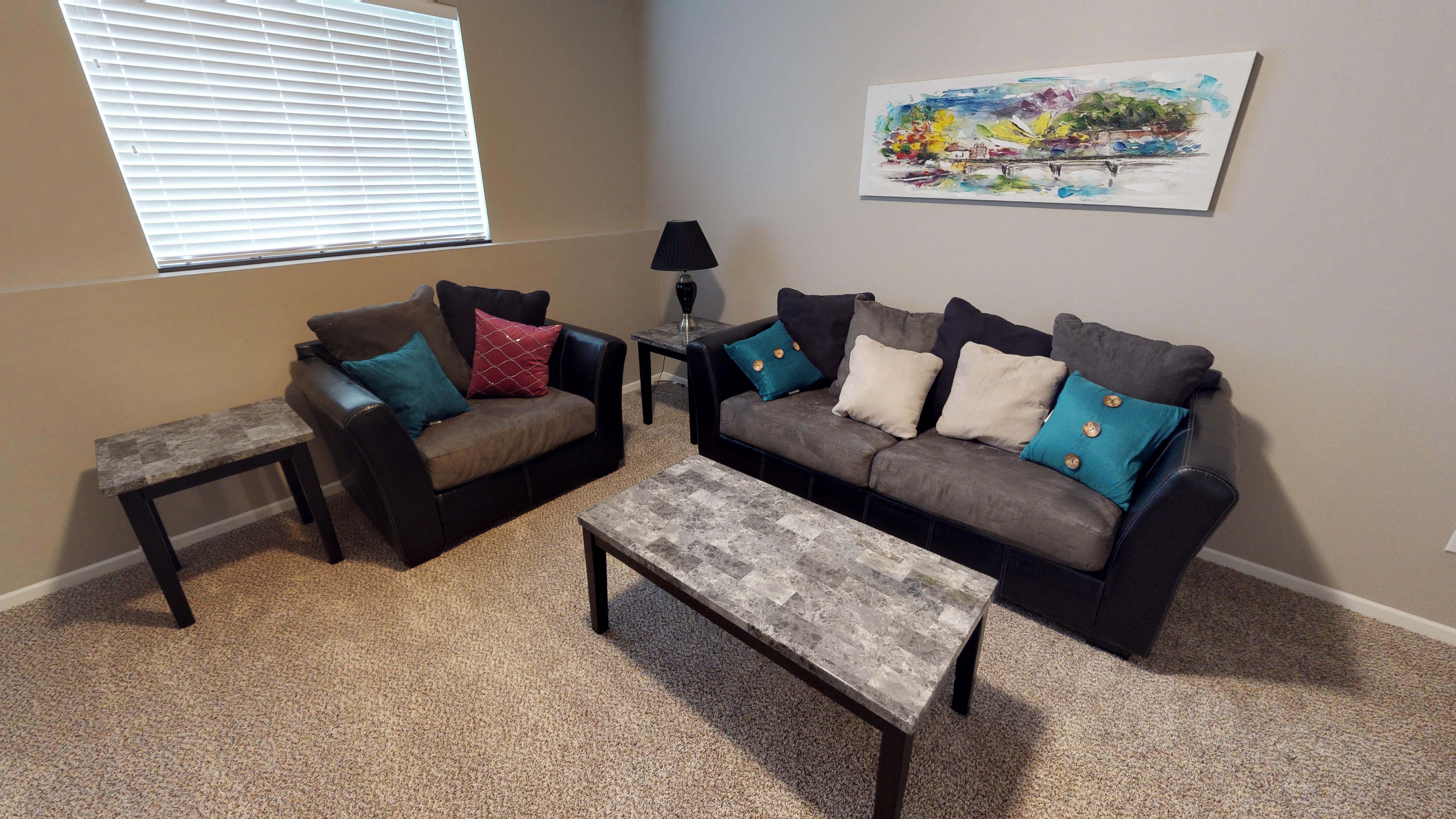 basement, finished basement, furniture, living area