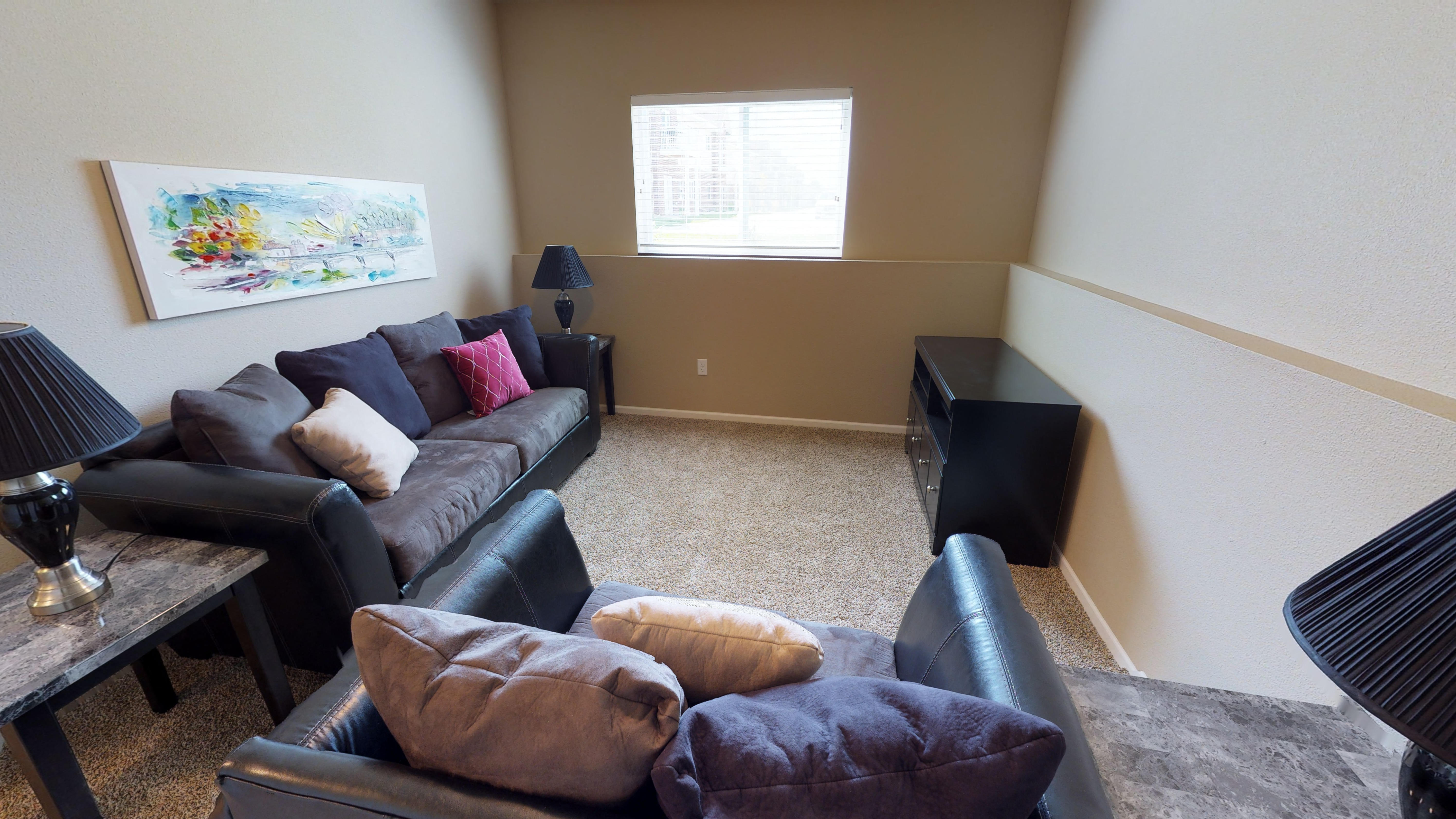 second living area, basement, couches
