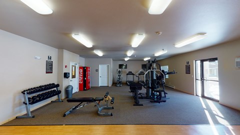 a gym with a lot of exercise equipment in it