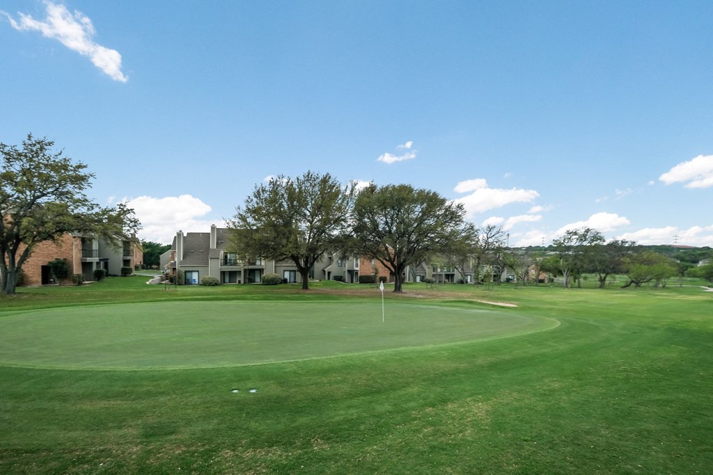green round grass with trees front view