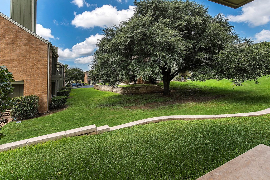 our lovely scenery near our complex