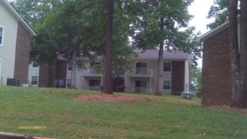 Tree lined view of apartments with balconies - Photo Gallery 3
