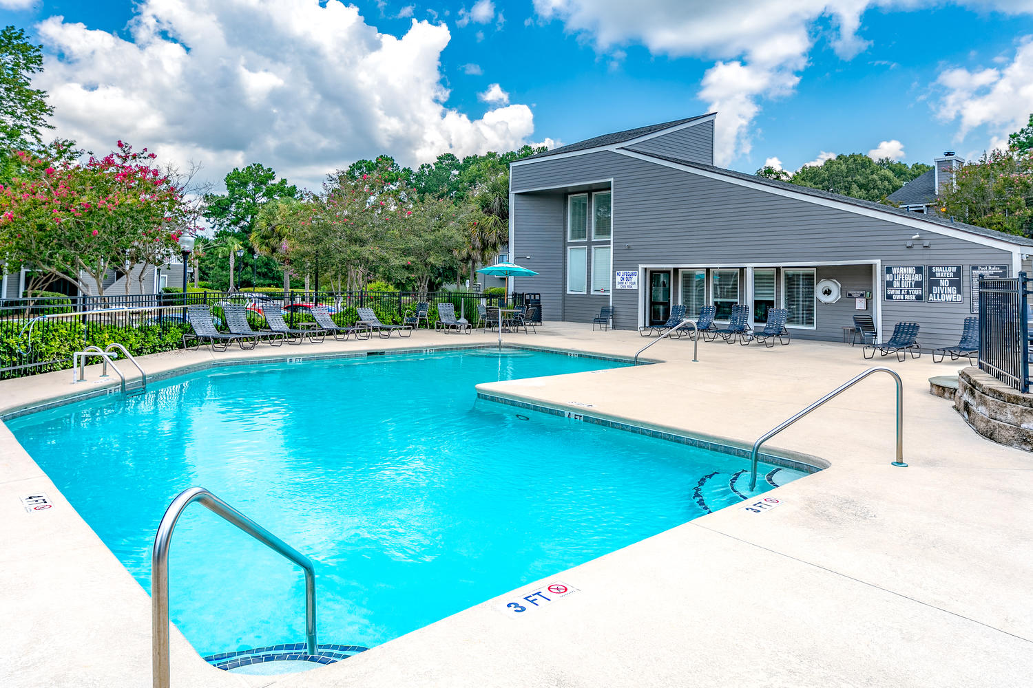 Pool at Palmetto Grove
