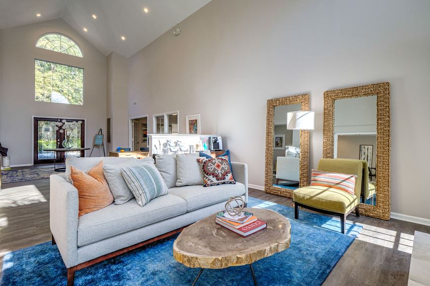 Decorated Living Room With Natural Light Decorated Living Room With Natural Light at Palmetto Grove, Charleston - Photo Gallery
