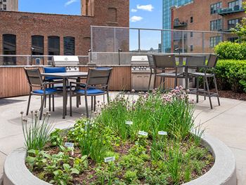 Herb Garden at 1001 South State, Chicago