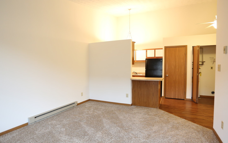 Image of a carpeted room and kitchen