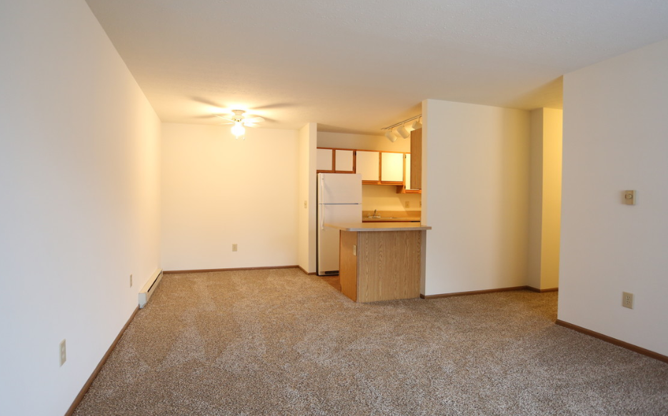 Image of a carpeted room and kitchen